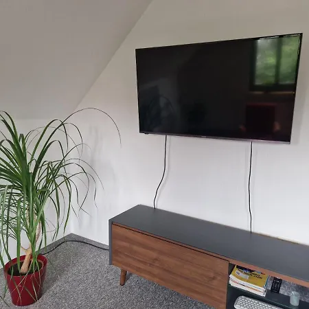 Zentrum Apartment